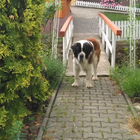 U Bernardyna 3* Tachov (Plzen)